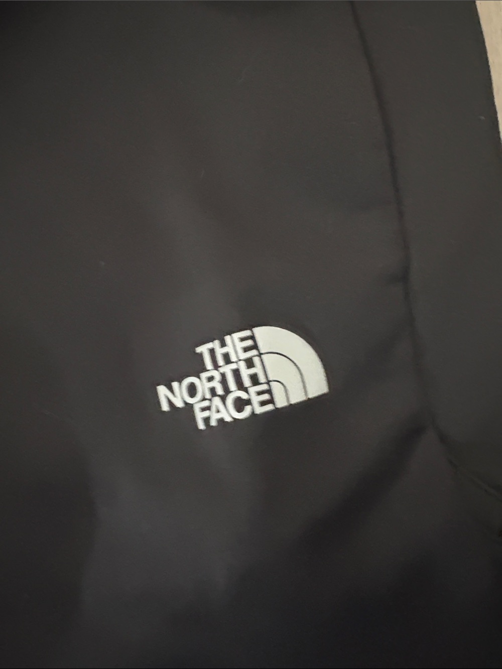 The North Face Black Men's Joggers with Logo - Picture 3 of 4
